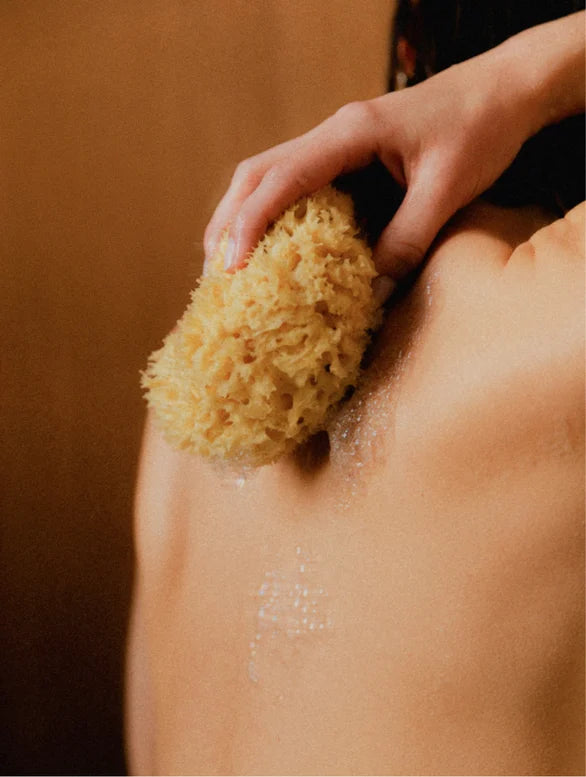 Grapefruit Hand &amp; Body Wash