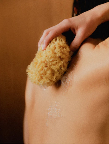 Grapefruit Hand &amp; Body Wash